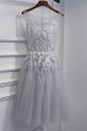 A Line Bateau Neckline Silver Tulle Lace Feather Short Prom Dress