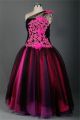 Ball Gown One Shoulder Black Tulle Hot Pink Lace Feather Prom Dress