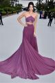 Kendall Jenner Sexy Two Pieces Spaghetti Strap Lilac Chiffon Evening Prom Dress